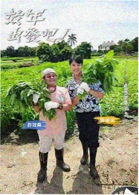 慢综艺 慢行列车 旅行节目